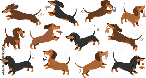 Cute Dachshund Dog Collection in Different Poses with Playing, Running and Carrying Toys Cartoon Vector Illustration Set