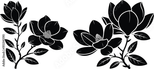 Black magnolia flower silhouettes and botanical floral branch vector set for spring nature design element decoration