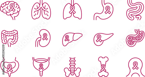 Set of 15 human organ icons vector