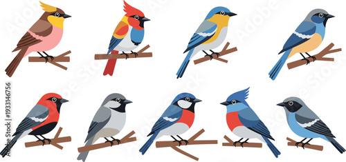 Colorful Birds on Branches Vector Set Featuring Various Species and Vibrant PlumageColorful Birds on Branches Vector Set Featuring Various Species and Vibrant Plumage
