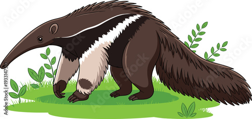 Cute cartoon giant anteater character with long snout and bushy tail walking on green grass patches isolated on white background