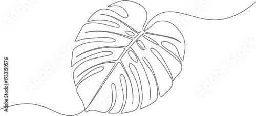 Simple continuous line drawing of a monstera leaf on white background