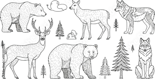Collection of forest animals in various poses and sizes for illustration