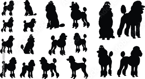 A comprehensive collection of seventeen black poodle silhouettes featuring various professional grooming styles and poses for canine lovers and pet industry graphic design projects.