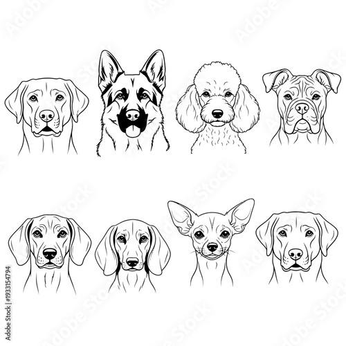 Black and white line art illustration of multiple dog breeds
