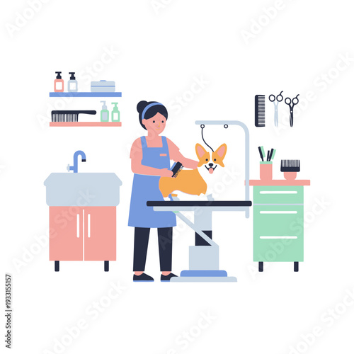 Professional dog groomer brushing a happy corgi in a clean grooming salon