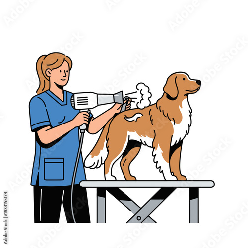 Professional dog groomer drying a golden retriever on a grooming table with a hairdryer