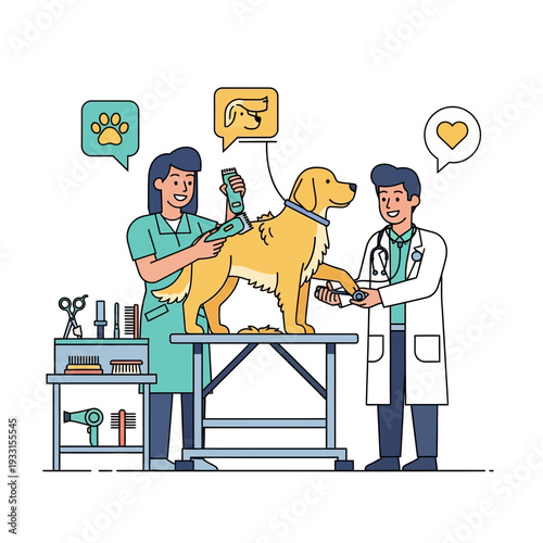 Veterinarian and groomer caring for golden retriever dog on table, grooming and medical check-up