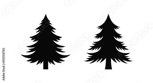 Two dark evergreen trees form a striking graphic silhouette