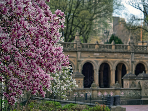 Bethesda Terrace and Fountain in early spring