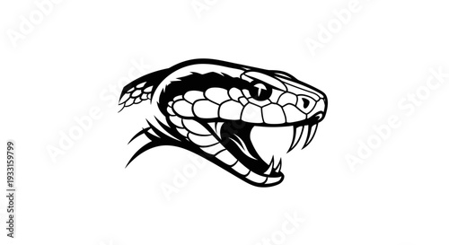 angry snake head with open mouth and fangs