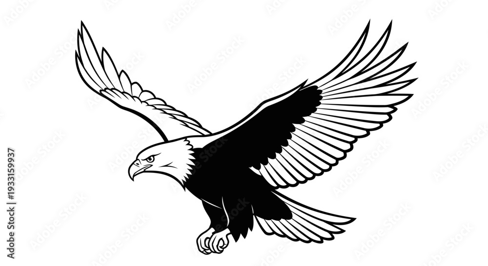 Obraz premium bald eagle flying isolated