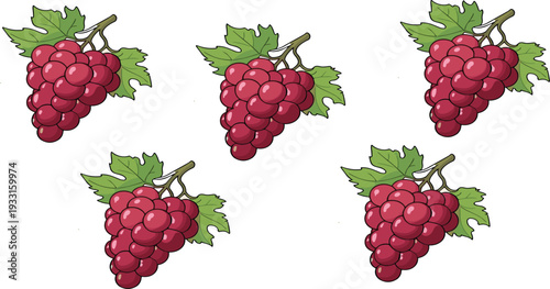Fresh Red Grape Bunch with Green Leaves Isolated on White Background Hand Drawn Vector Illustration