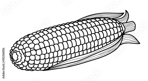 black and white corn illustration