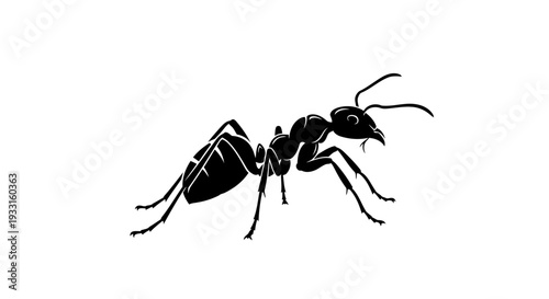 black ant silhouette insect