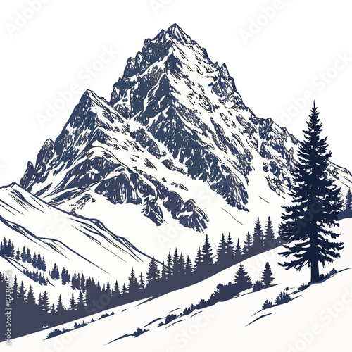Snowy mountain peak with trees on slope