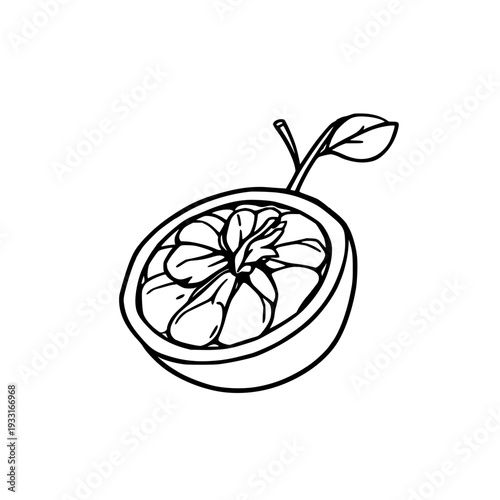 Half-sliced passion fruit graphic vector illustration, exotic superfruit theme, clean solid black lines on white background