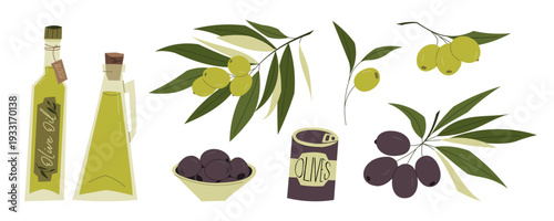 Collection of olive oil bottles, green and black olives, branches and canned olives in flat vector style. Mediterranean food elements isolated on light background
