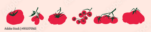 Flat vector collection of red tomato varieties including cherry, plum and beefsteak types isolated on beige background. Fresh organic vegetable set