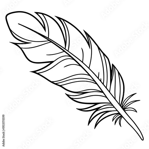 Simple black and white illustration of a single feather on a white background representing elegance and simplicity
