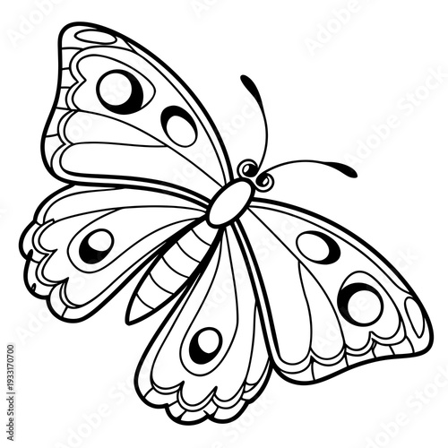 Beautiful butterfly with intricate patterns on its wings is a lovely illustration for coloring and decoration purposes in various designs.