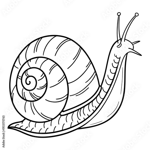 Simple black and white line drawing of a snail emerging from its shell on a plain white background