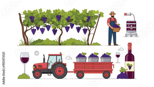 Collection of elements illustrating grape harvesting and wine production, including grapevines, a farmer, tractor, and wine, depicting the journey from vineyard to bottle.