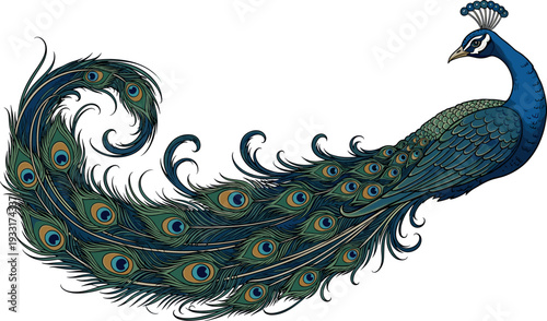 A colorful peacock displaying its elaborate feather patterns on transparent background