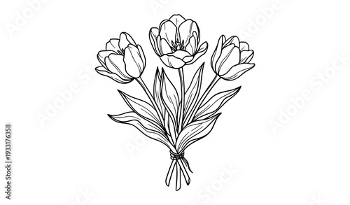 Tulip Flower Bouquet Black White Sketch Illustration Vector Isolated on White