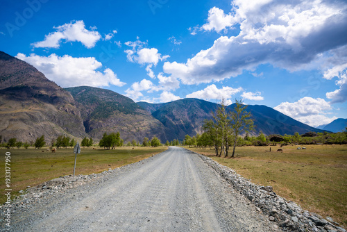 Dirt road running along Chulyshman river at entrance to Chulyshman valley in Altai Russia Scenic remote route through wild mountain landscape
