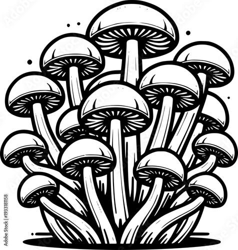 Mushrooms Illustration: Artistic illustration featuring a cluster of mushrooms, showcasing intricate details and a stylized design.