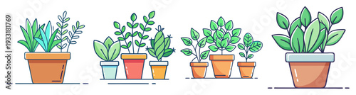 Potted herbs set in terracotta pots flat design vector illustration scalable graphic icon pack