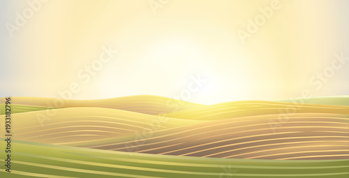 Hilly agricultural landscape, with cultivated by agriculture fields and hills,  sunrise (or sunset) sun above the horizon. Raster illustration.