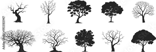 Set of ten black tree silhouettes including bare winter branches and lush leafy summer foliage isolated on white background for nature graphic design