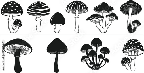 Stylized mushroom vector collection with detailed textures and silhouette designs, botanical illustration set for nature, fungi, food, and decorative