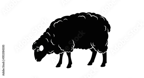 Sheep Silhouette Grazing on Grass.