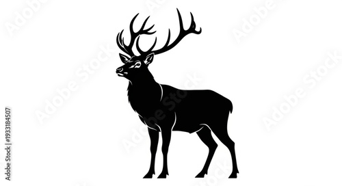 Silhouette of a Deer with Antlers.