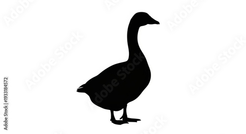 Silhouette of a Standing Goose.
