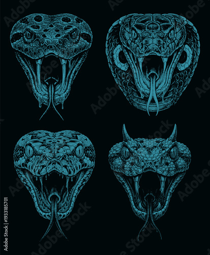 Vector four detailed monochrome illustrations of venomous snake heads with open mouths, bared fangs, and flicking tongues