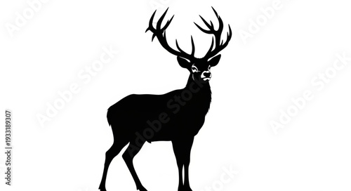Silhouette of Deer with Antlers.