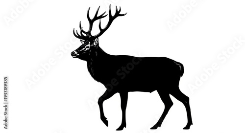 Silhouette of Deer with Antlers.