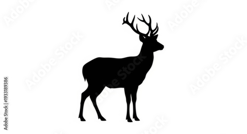 Silhouette of Deer with Antlers.