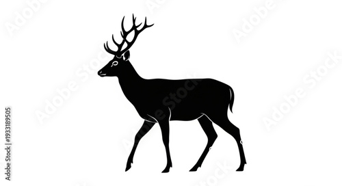 Silhouette of Deer with Antlers.