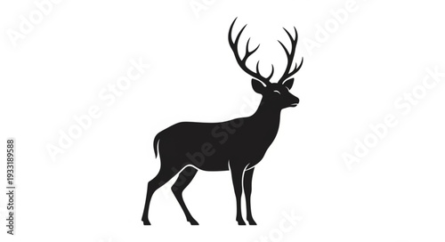 Silhouette of Deer with Antlers.