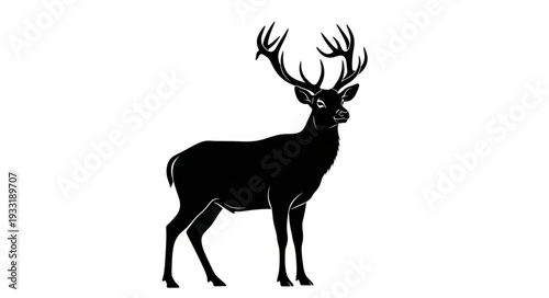 Silhouette of Deer with Antlers.