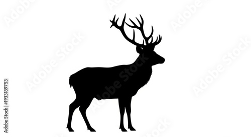 Silhouette of Deer with Antlers.
