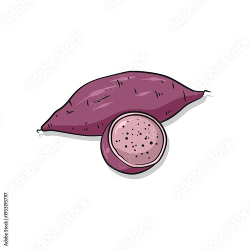 Картината върху платно Sweet potato yam root vegetable sliced and whole illustration