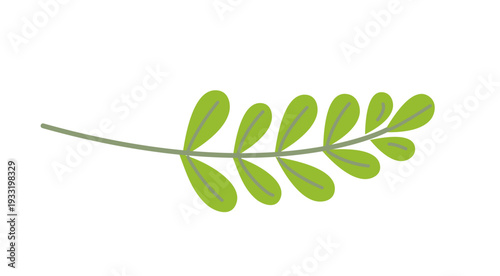 Leaf branch spring vector illustration on white background. Green foliage sprig in naive art style.