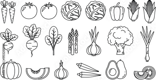 Vegetable Outline Icons Collection with Carrot Tomato Cabbage Onion Corn and Fresh Farm Produce Vector Set