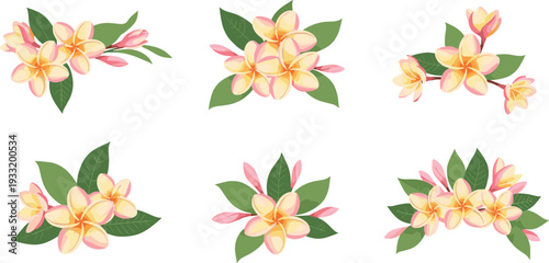 Tropical Plumeria Flower Vector Set Featuring Pink and Yellow Frangipani Blossoms with Green Leaves for Floral, Wedding, and Summer Design Projects